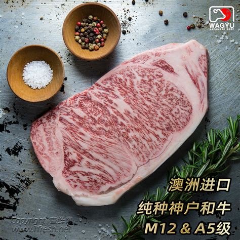 西牛西牛